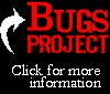 Bugs
